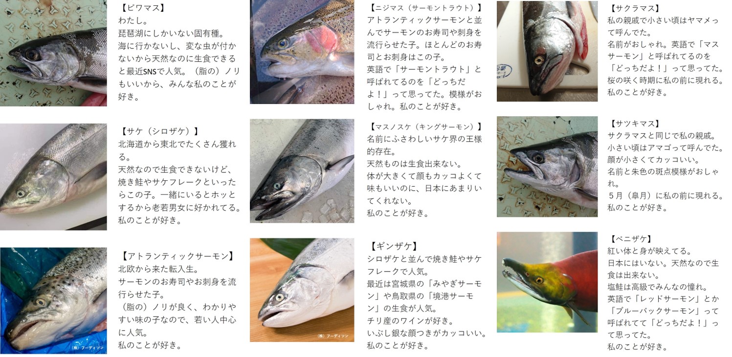 農林水産省 サケ 鮭 サーモン と マス 鱒 トラウト の違いはご存じでしょうか 実は呼び名に違いは無いのです サケ科の魚は分類学的にはこれらの種に分かれますが 和名 英語名や商品名などが時間の経過の中で混ざってしまった