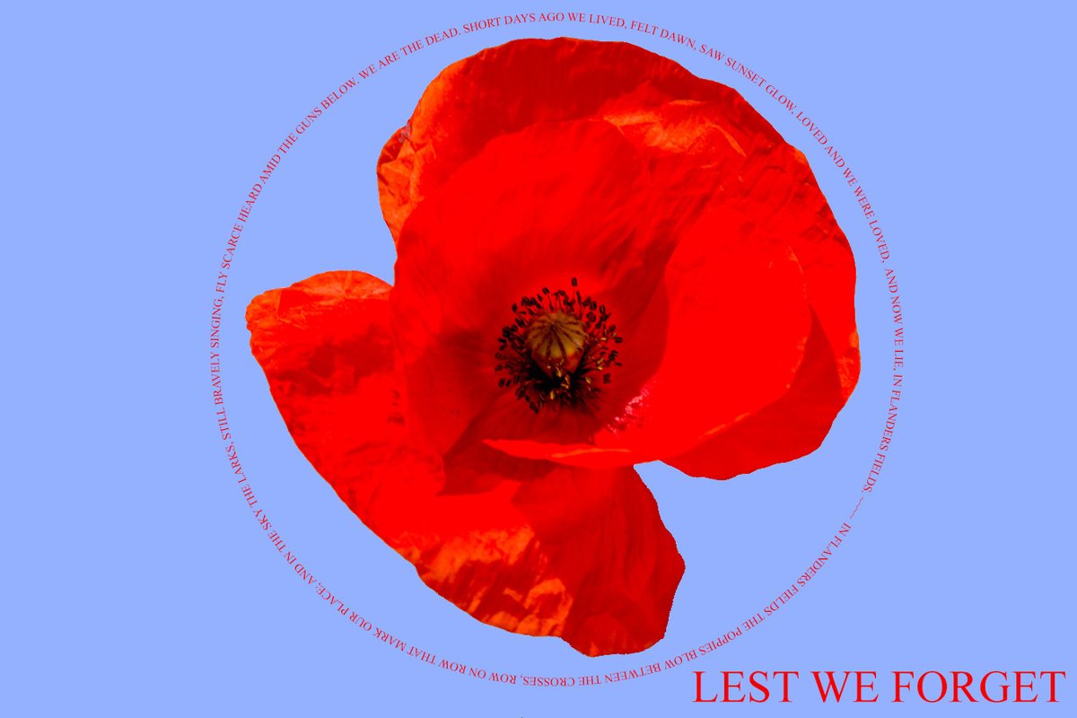 SF_LLP's tweet photo. Remembering and honouring our heroes.🌹#RemembranceDay https://t.co/Z1z1kXOCXy