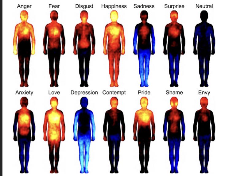 怒りは腕 妬みは顔 感情が身体のどの場所で働いているかの感情の身体地図 が興味深い こんなに差があるのか Togetter