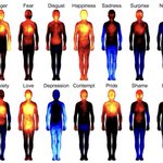 感情が身体のどの場所で働いている？よくわかる感情の身体地図がこれ!