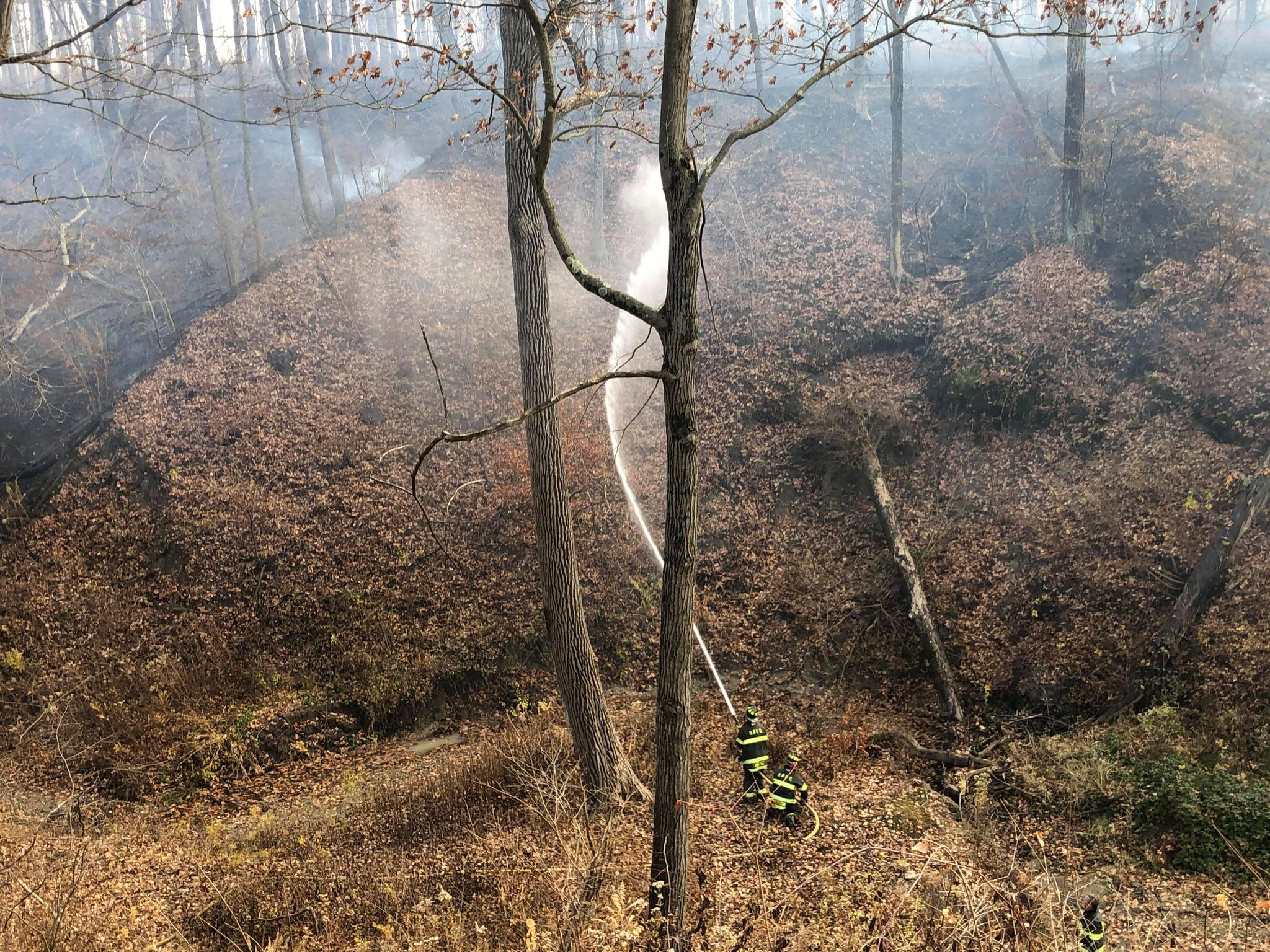 Lake & McHenry County Scanner on Twitter "It took dozens of