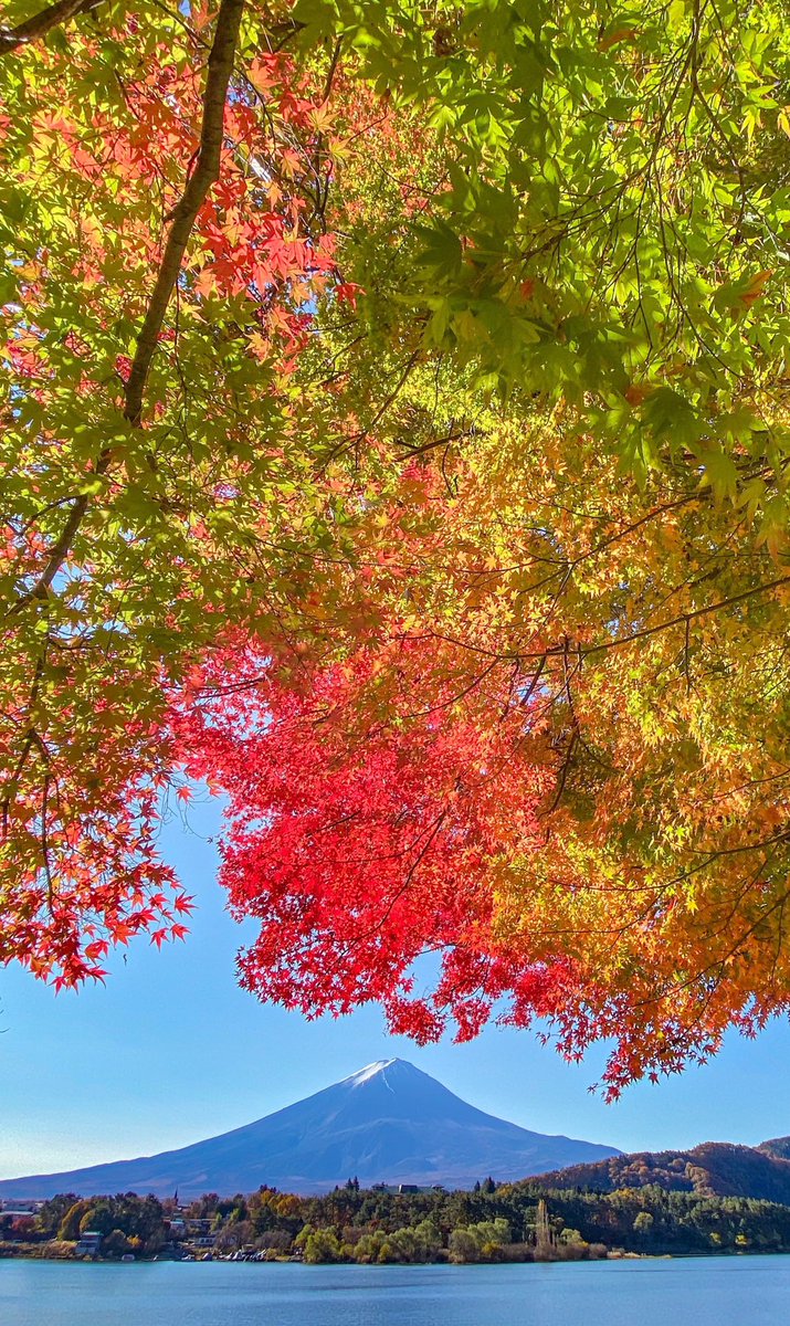 Take 湖畔の紅葉 縦位置 待ち受けサイズです よろしかったらお使い下さい 緑が混ざった紅葉です