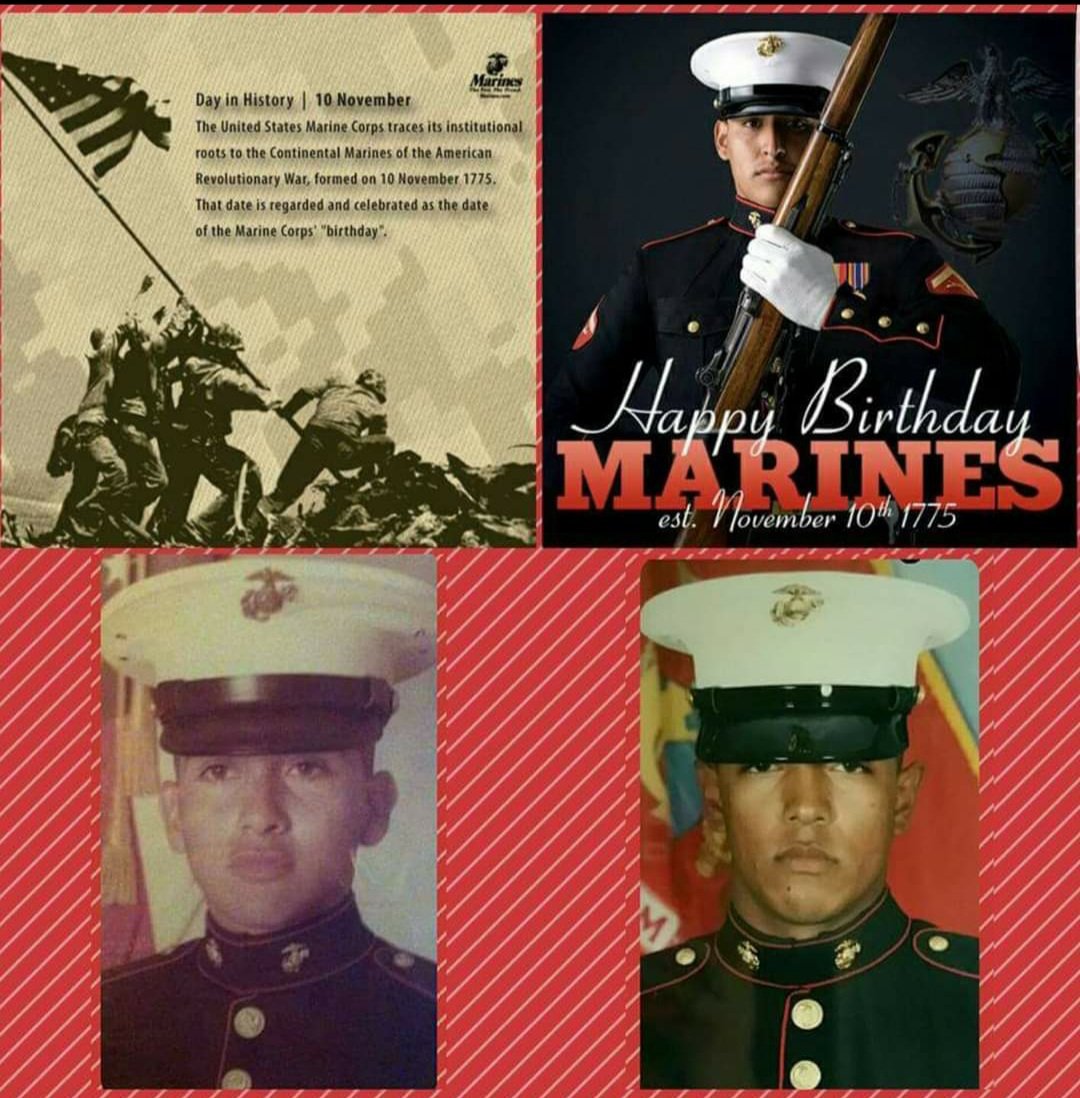 Laura Segundo tweet media