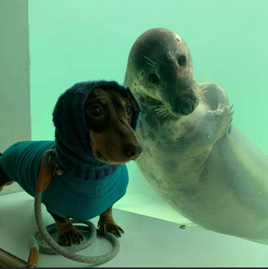 16BitSlayer's tweet image. Mixtape dropping soon.