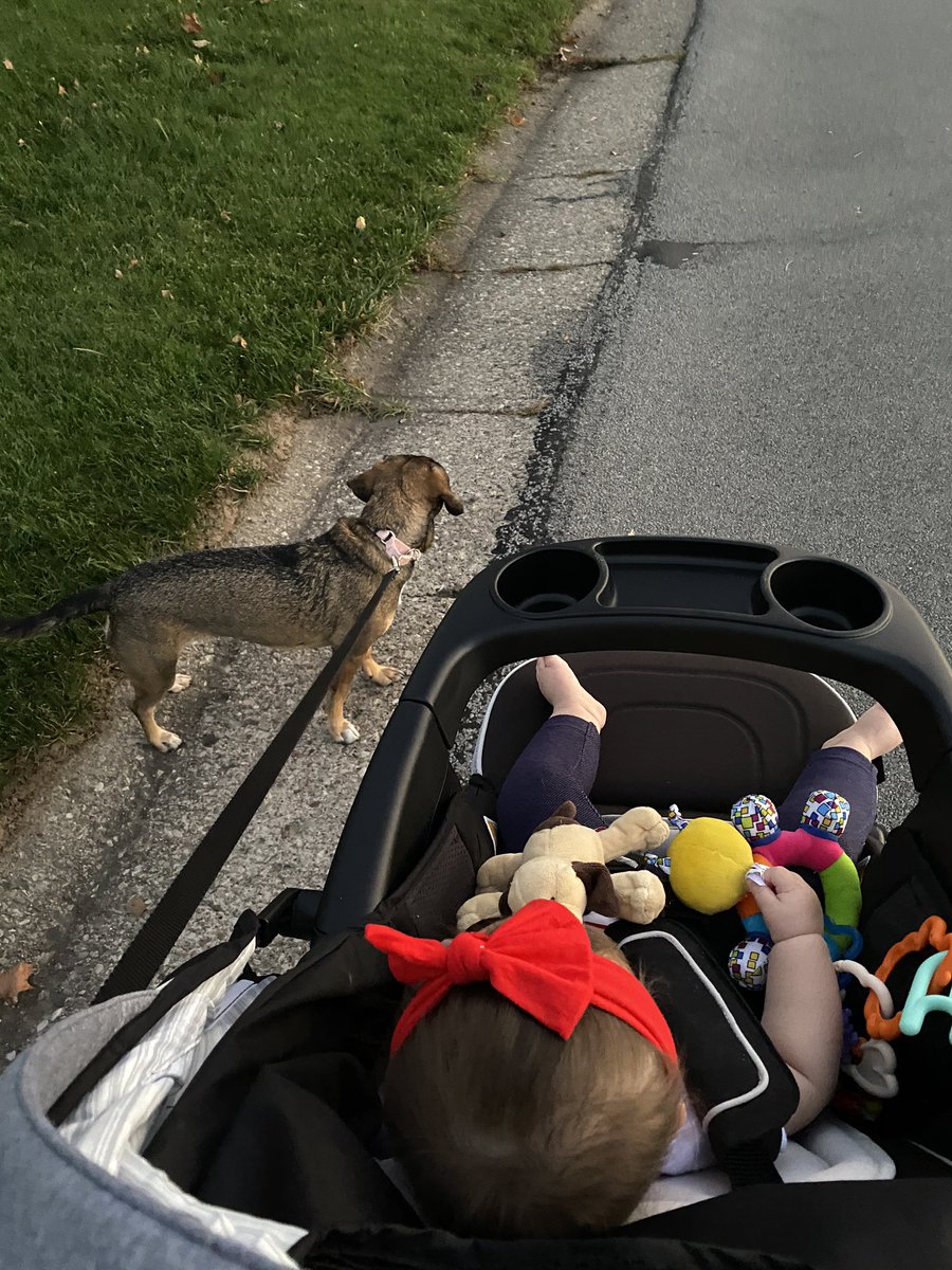 MrsRozziKS's tweet photo. The beautiful weather we have been having was perfect for finishing the @KlemSouth welcome back run! Thankful for my walking buddies! @klemsouthpe @KlemSouthPTSA https://t.co/fqsMfax6jH