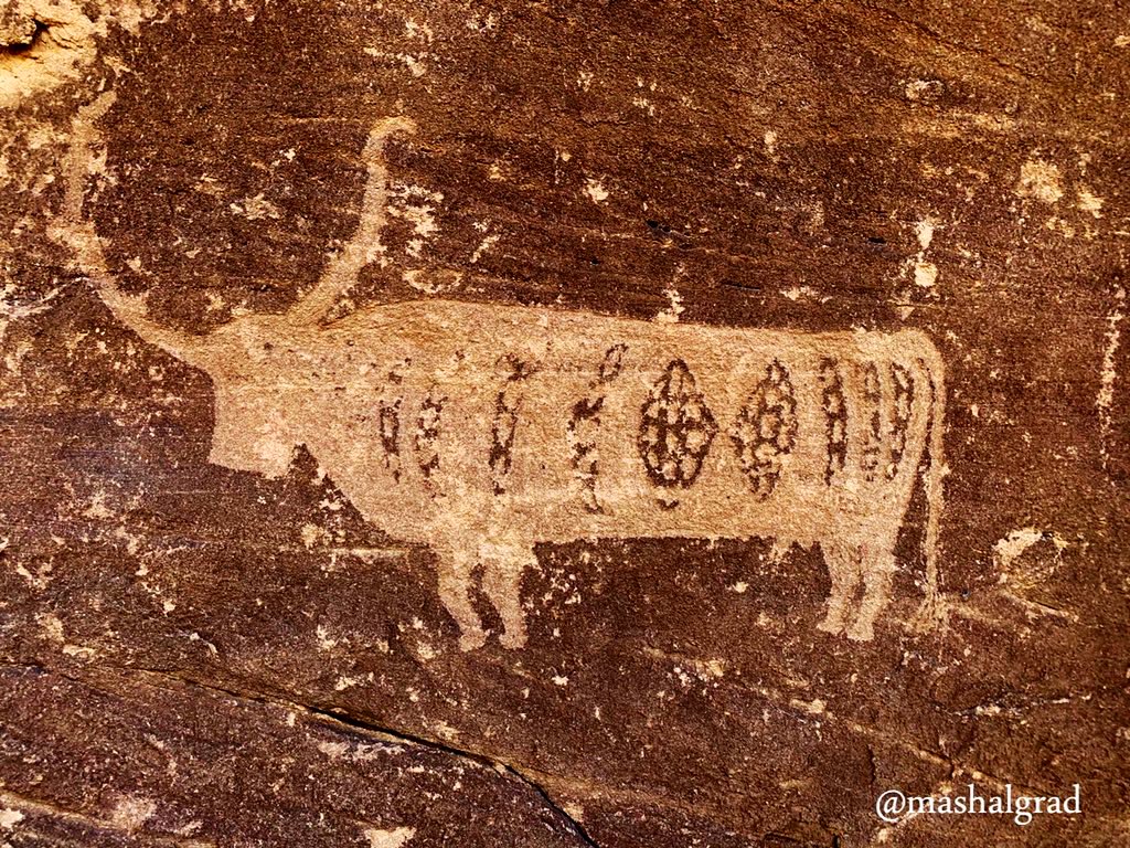 OldArabia's tweet photo. Old rock carvings in Najran region, #SaudiArabia 
Photo by @mashalgrad https://t.co/Ag6fvP3tY0
