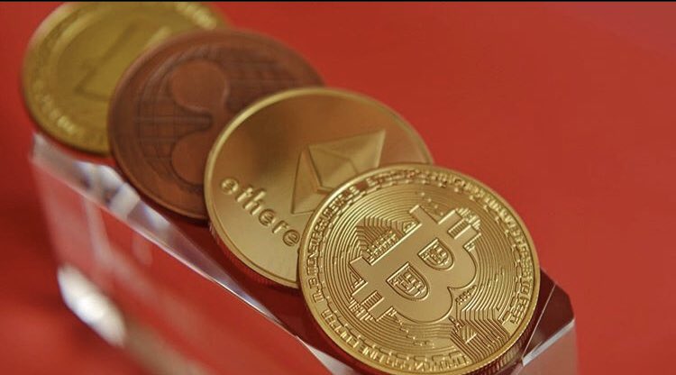 CollinsDogger's tweet photo. Bitcoin is gold now... check price now 👉 https://t.co/AkxbnuJpAi