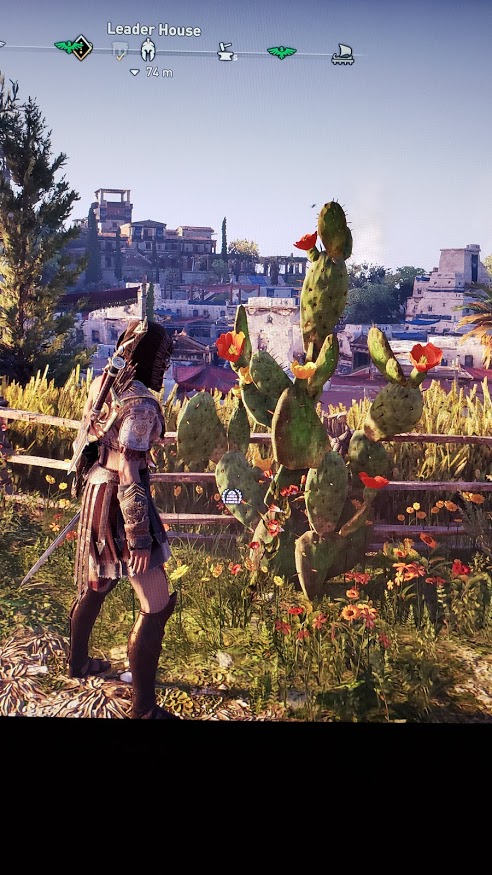 3) The first pic shows an Opuntia ficus-indica, or "prickly pear", in game (which is a cactus- not a fig, nor a pear, nor from India) that can be found in abundance around the mediterranean TODAY but that is originally from mesoamerica, more specifically Mexico!