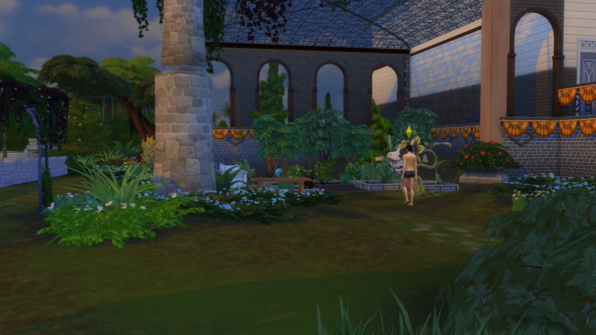 Et on a un peu avancé le jardin, aussi. 7/7