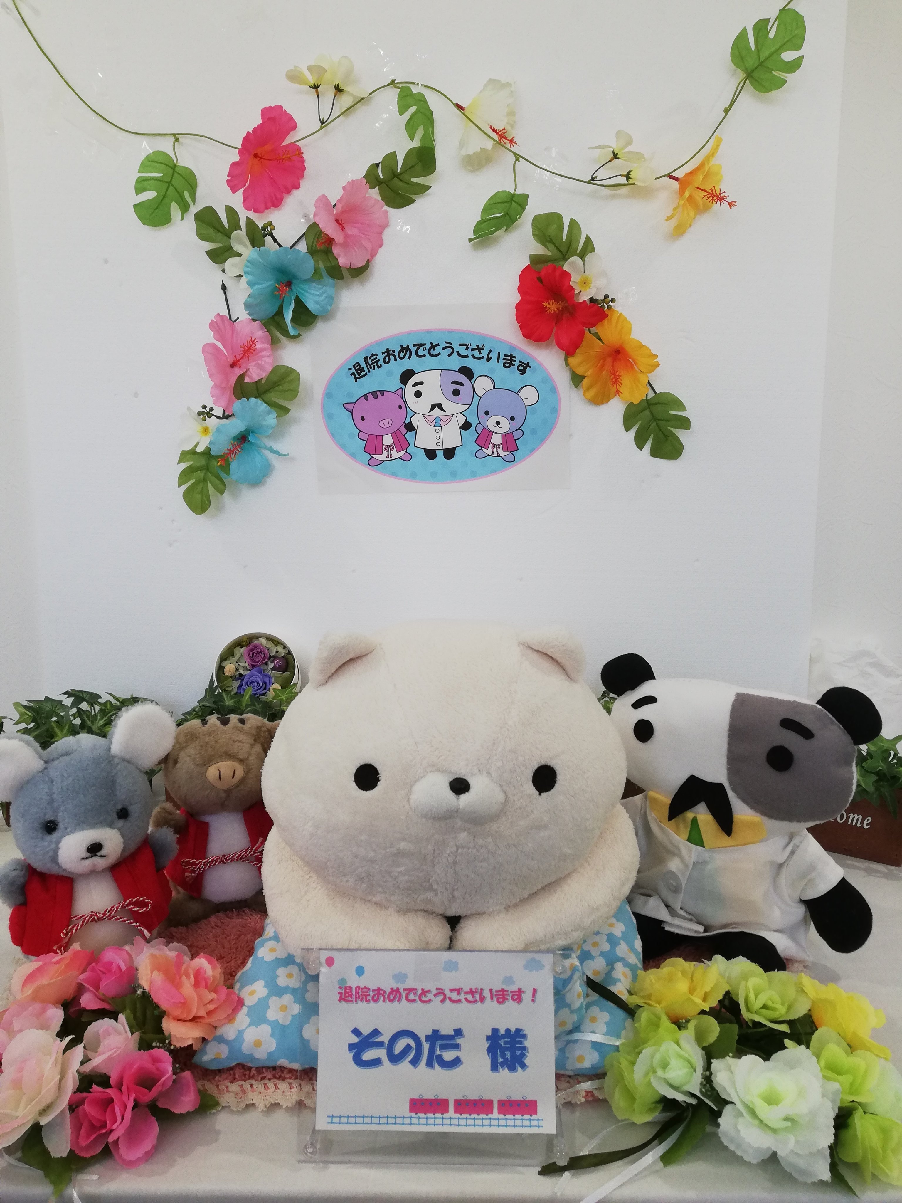 ぬいぐるみの洗い方 Twitter Search Twitter