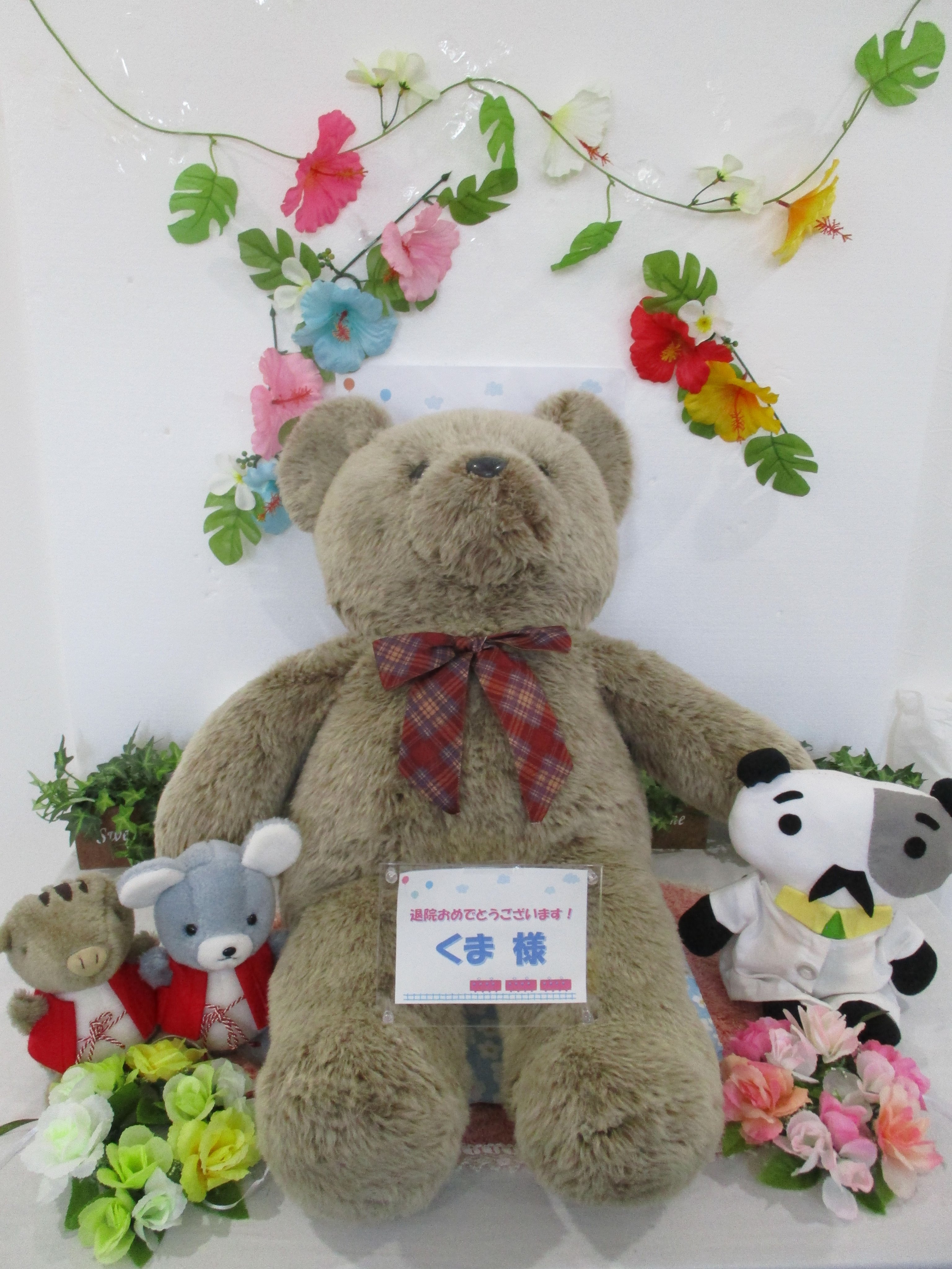 ぬいぐるみの洗い方 Twitter Search Twitter