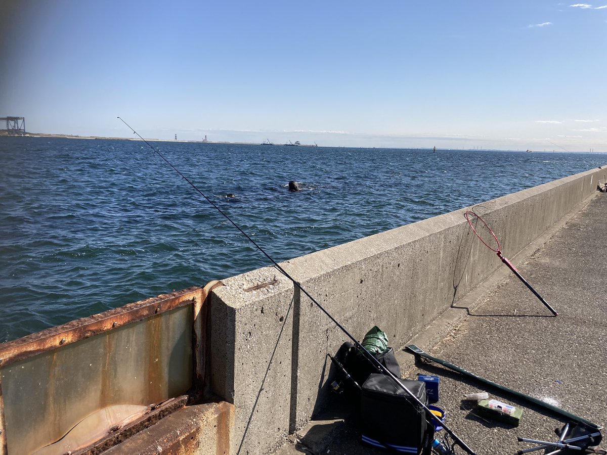 おたつさん 城南島海浜公園にて 釣行スタート 風速8メートルくらい これはキツイw おたつさん 城南島海浜公園にて 釣行スタート 風速8メートルくらい これはキツイw