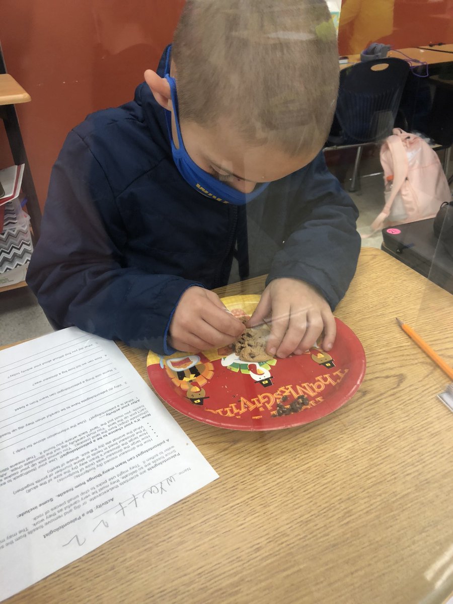 TeacherTrone's tweet photo. Fossil fun! Students were paleontologists and got to “excavate” their own fossils. ⛏ https://t.co/T9s6pUxtio