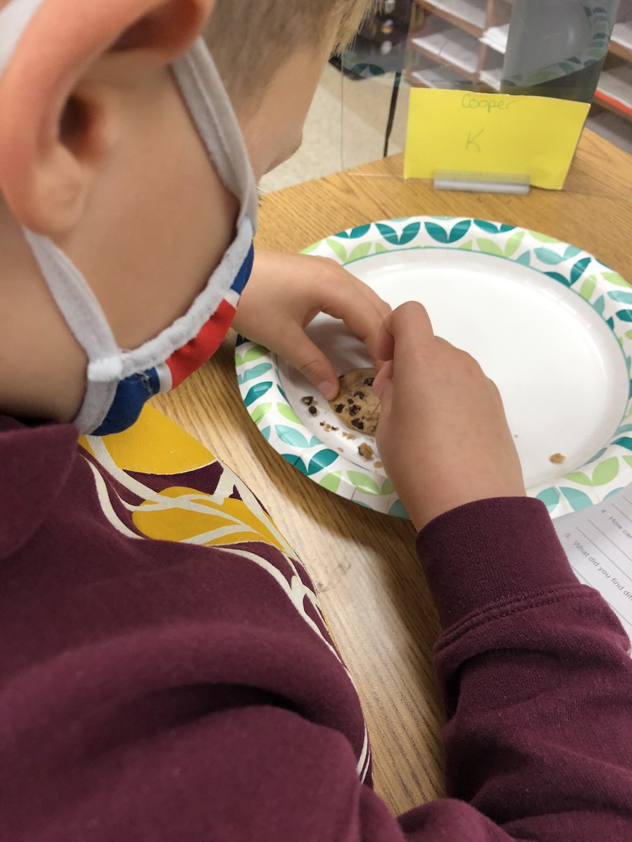 TeacherTrone's tweet photo. Fossil fun! Students were paleontologists and got to “excavate” their own fossils. ⛏ https://t.co/T9s6pUxtio