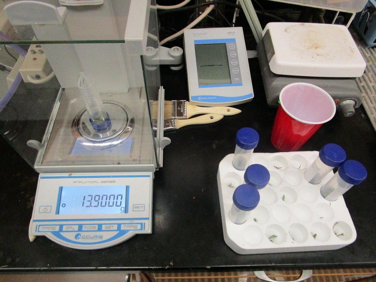 KenslowMatthew's tweet photo. Today, I got to return back to campus. This time, for #Biochemistry Lab. First time back since the exposure to COVID-19 I had a month ago in #AnalyticalChemistry #Lab. (Neg. Test, #PTL!)
#justvanguardthings #biochemmajor #vusc #universitylife https://t.co/lKlOG5TFL3