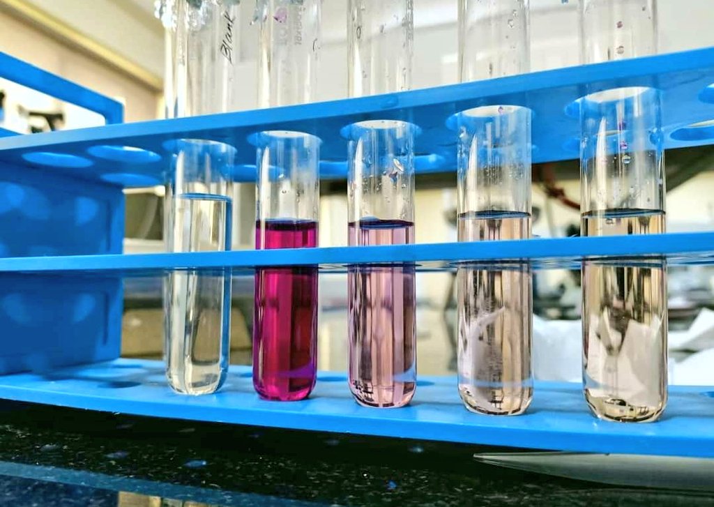 SanjitaPanigra2's tweet image. Chromium resistance bac.
#biotechnology 
#labdiaries