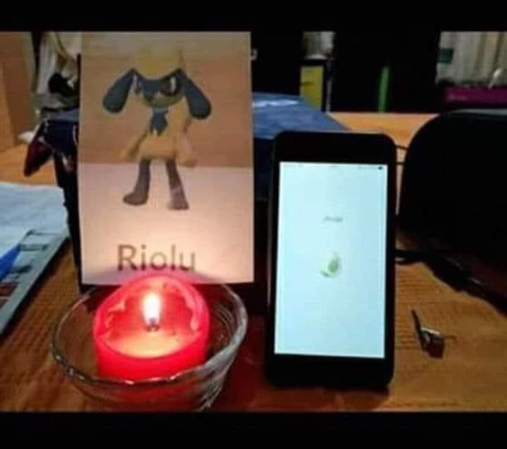 engel_go's tweet photo. Have you got your shiny Riolu? 👀✨

¿Ya conseguiste tu shiny Riolu? ✨👀👐🏼 https://t.co/UpAZd5sXnG