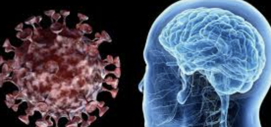 ecalixto's tweet photo. El coronavirus tiene efectos en la salud mental: 24% de los pacientes presentan agotamiento, inestabilidad emocional, depresión, disminución de la concentración, reducción de la memoria, confusión, insomnio y ansiedad.  

#NochedeNeuroTuits https://t.co/xriHWXClGy
