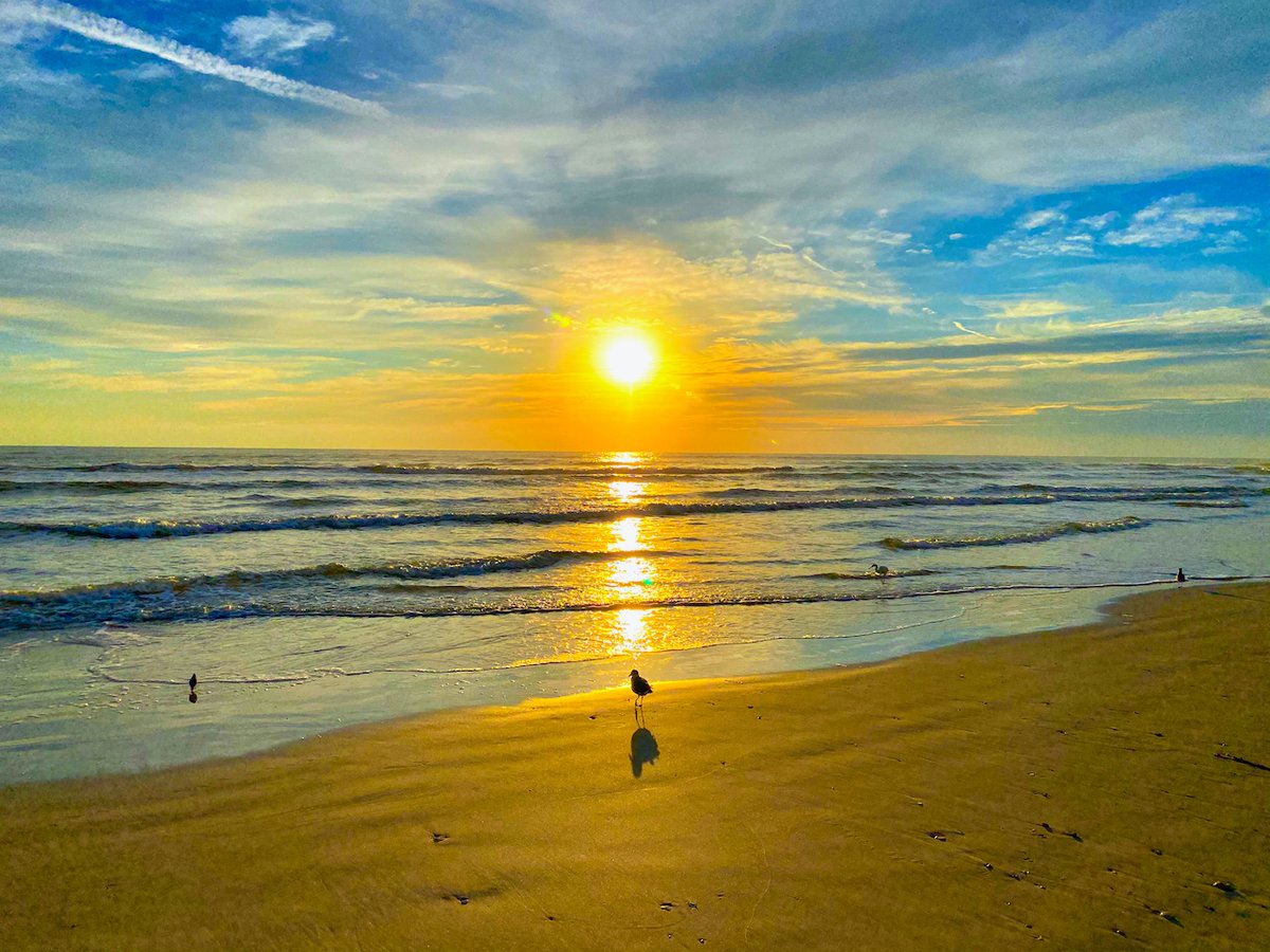 MoveToNSB's tweet photo. 📸 New on the Website Today 💻 #JustListed #OceanWalk Condos For Sale #NSB
🛑 STOP👇🏻Click Here👇🏻
https://t.co/jDOu9VFGeK
#OceanWalkCondoForSale #MoveToNSB #MoveToFlorida #NewSmyrnaBeach #Florida #FloridaHomes #REALTOR #RealEstate #RealEstateAgent #CoastalLiving https://t.co/giYYKs4A3T