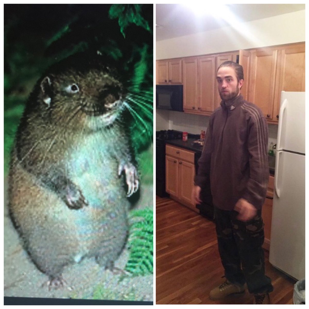 k_endr_a's tweet photo. Same energy (nat made this) https://t.co/gAROOsjJFh