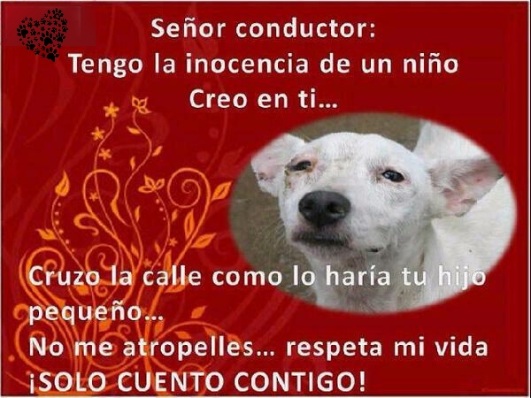 Para ti, es un minuto. Para ellos, es su vida. Por favor, déjalos pasar…