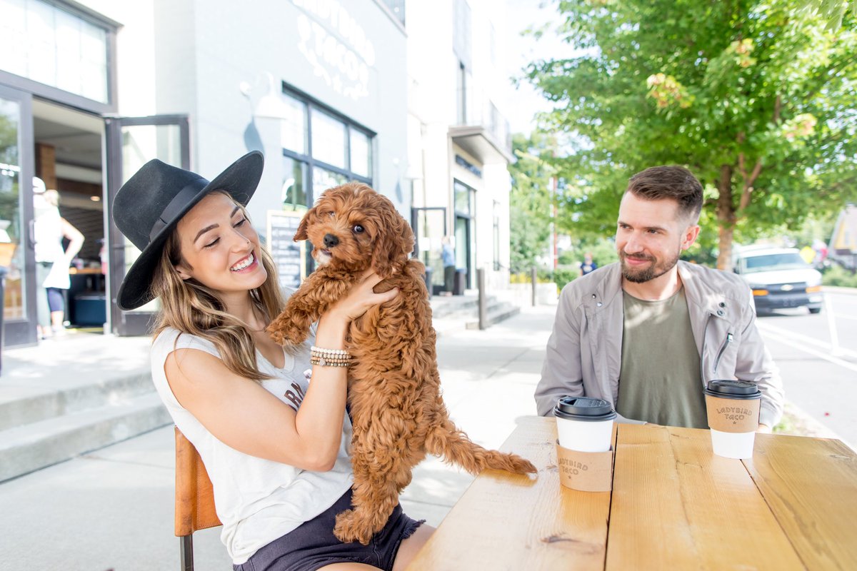 IT’S HERE! The cutest article you will ever read from us and Chewie! Coffee, pups, tacos, faith, music, need we say more? Check it👉🏻sarakauss.com/celebrity-dogs… 

📸: <a href="/sarakauss/">Sara Kauss Photo</a>