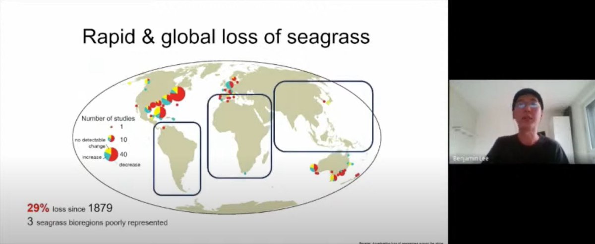 EOdatascience's tweet photo. Benjamin Lee from @DLR_en and Dr Joaquin Salas from Instituto Politécnico Nacional talked about their @GEOSEC2025 - @Google #EarthEngine projects at the #GeoForGood20 Public Sector Virtual Meetup. Watch it here: https://t.co/uTGpKYLIPJ https://t.co/Jf0SoGe81A