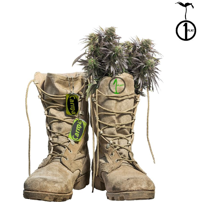 the 1Plant Adoption Program #VeteransDay2020 

 <a href="/1_plnt/">1PLNT</a> <a href="/CannaCulturecom/">CannaCulture</a> <a href="/420Studios/">420 Studio ™</a> @CarmaCorps #OnePlantUnited #1Plant