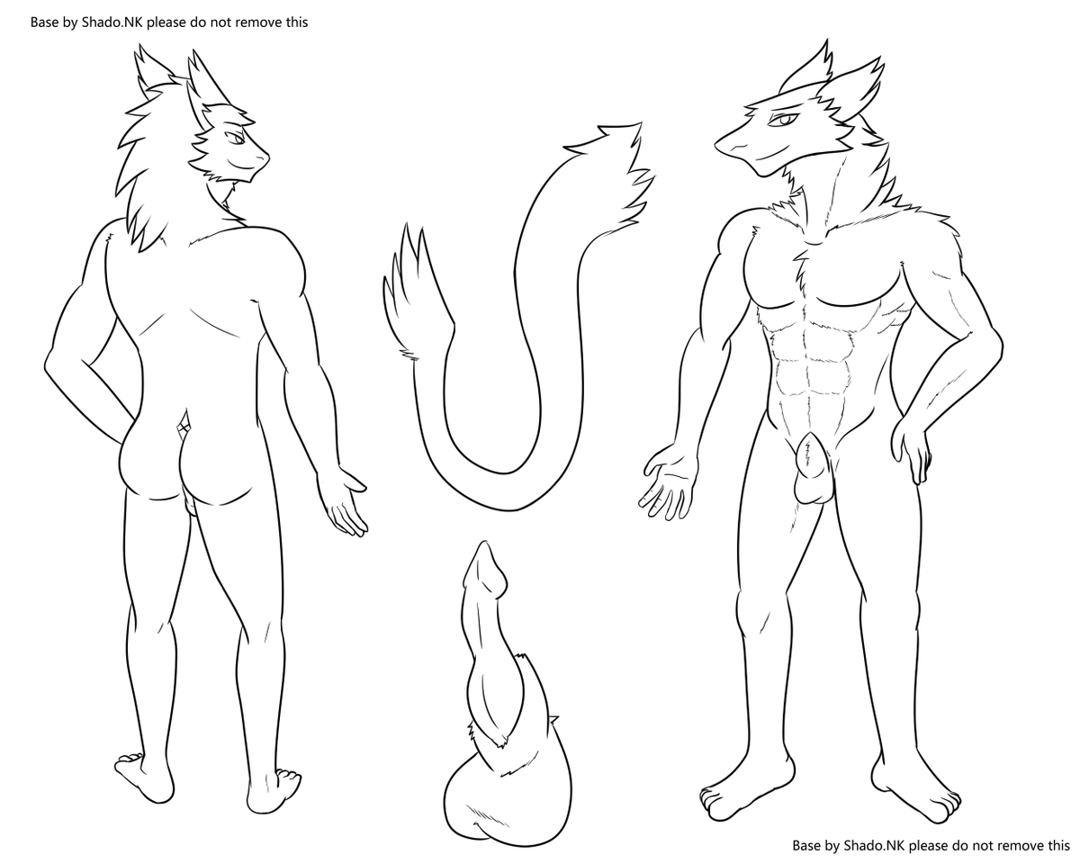 ShadoHusky's tweet photo. A sergal base reference (plantigrade) commissioned by anon ty very much dude #nsfw #furry #referencebase https://t.co/ORiMFUAVfP