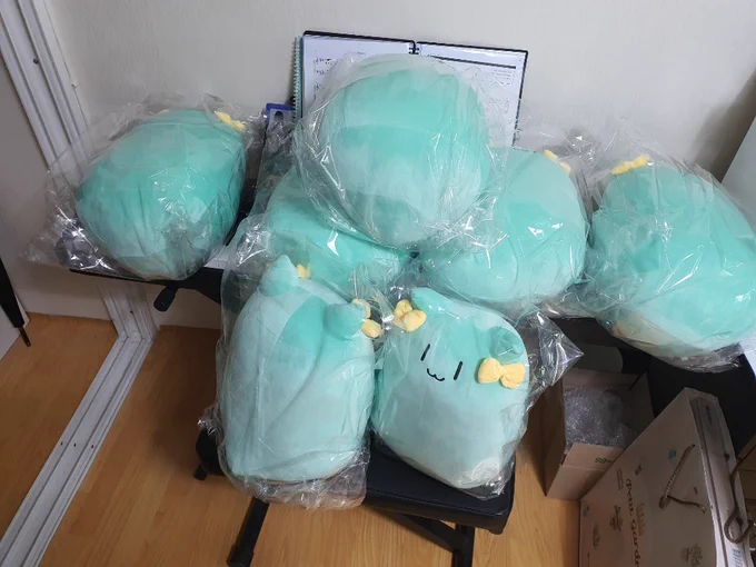 인형 왔다 