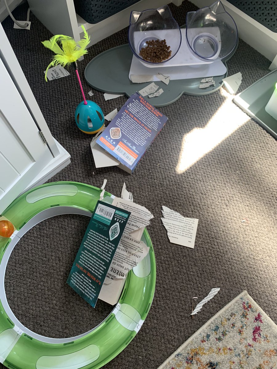 sophiereneeg's tweet photo. Came home to a mess! Two of my favourite books destroyed #badkitten😭 #shehasgoodtaste #PoorVlad @Jeaniene_Frost https://t.co/k99RhbP0xg