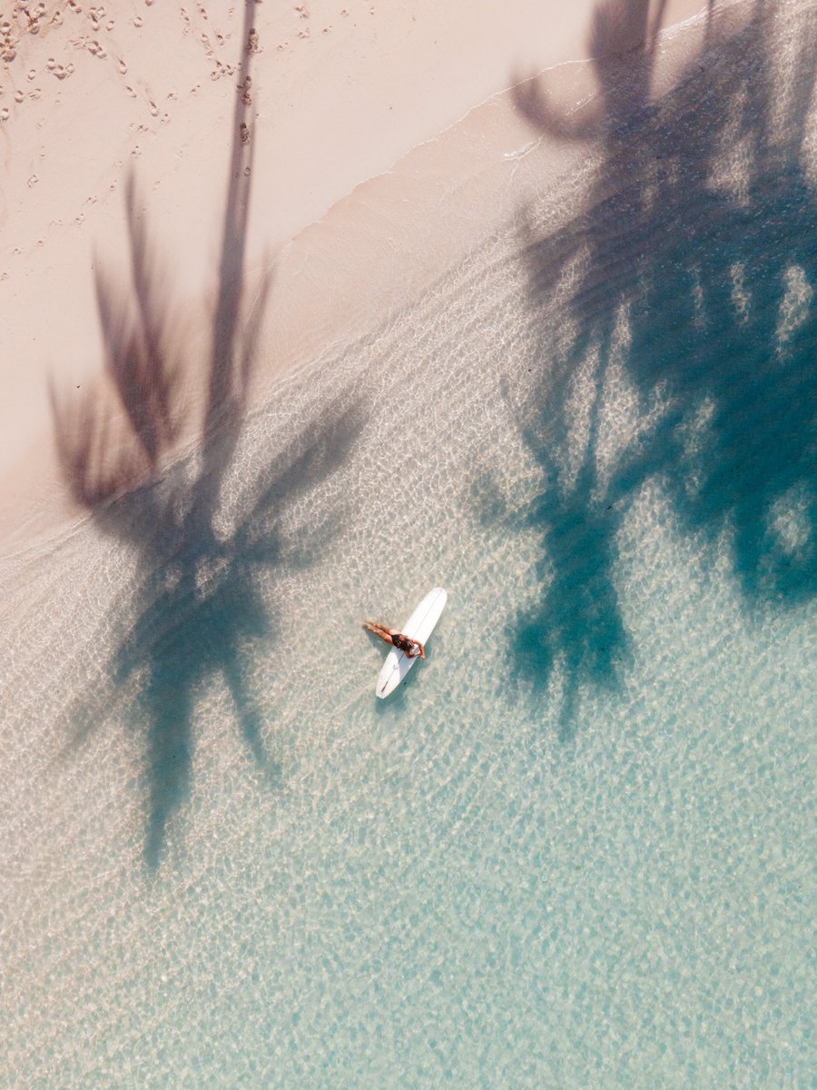 mattyleong's tweet photo. To those beautiful moments under the sun ☀️ https://t.co/4aOq73uTy1