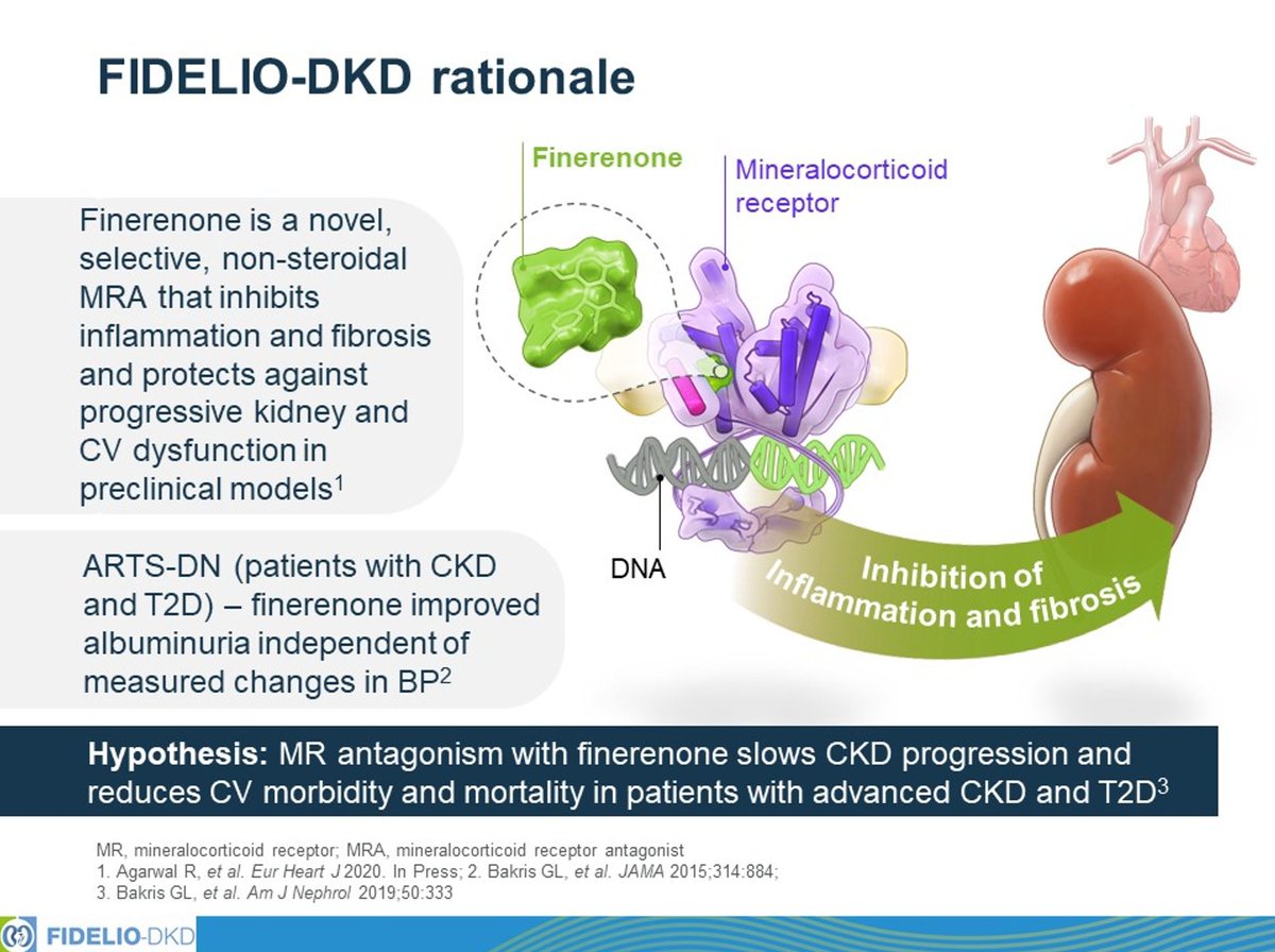 FIDELIO-DKD Hypothesis: MR antagonism with finerenone slows CKD progression &amp; reduces CV morbidity/ mortality with advanced CKD and Type 2 Diabetes #NephJC #Nephpearls