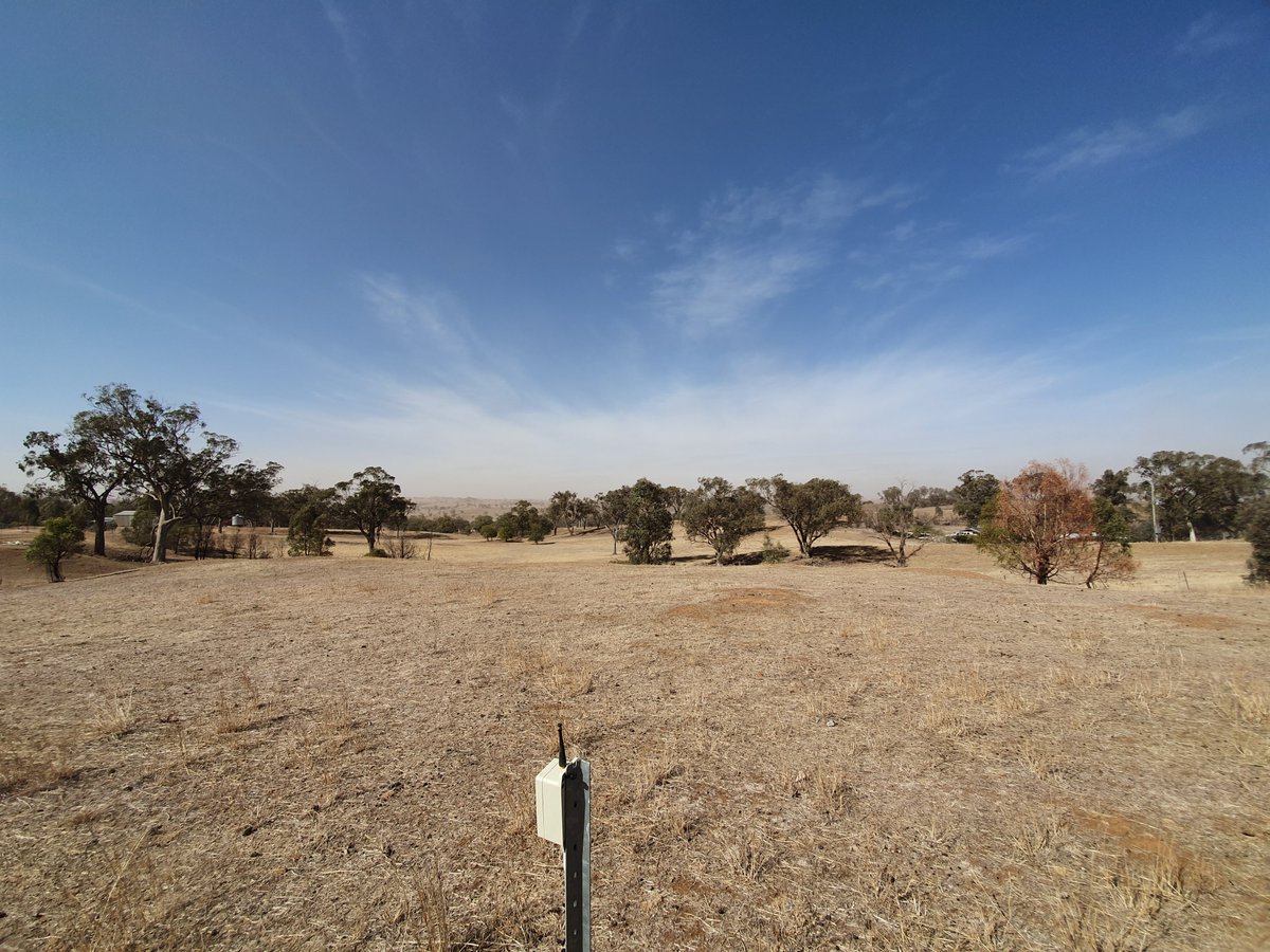 DPI_DigitalAg's tweet photo. Stock can't keep up with the pasture growth at our livestock pilot site near Molong.
23rd January 2020 after 127.8 mm rainfall (year to date)
vs. 9th November 2020 with 539.6 mm.
#growthcomparison #howbigisyours https://t.co/uzYS6qxj85