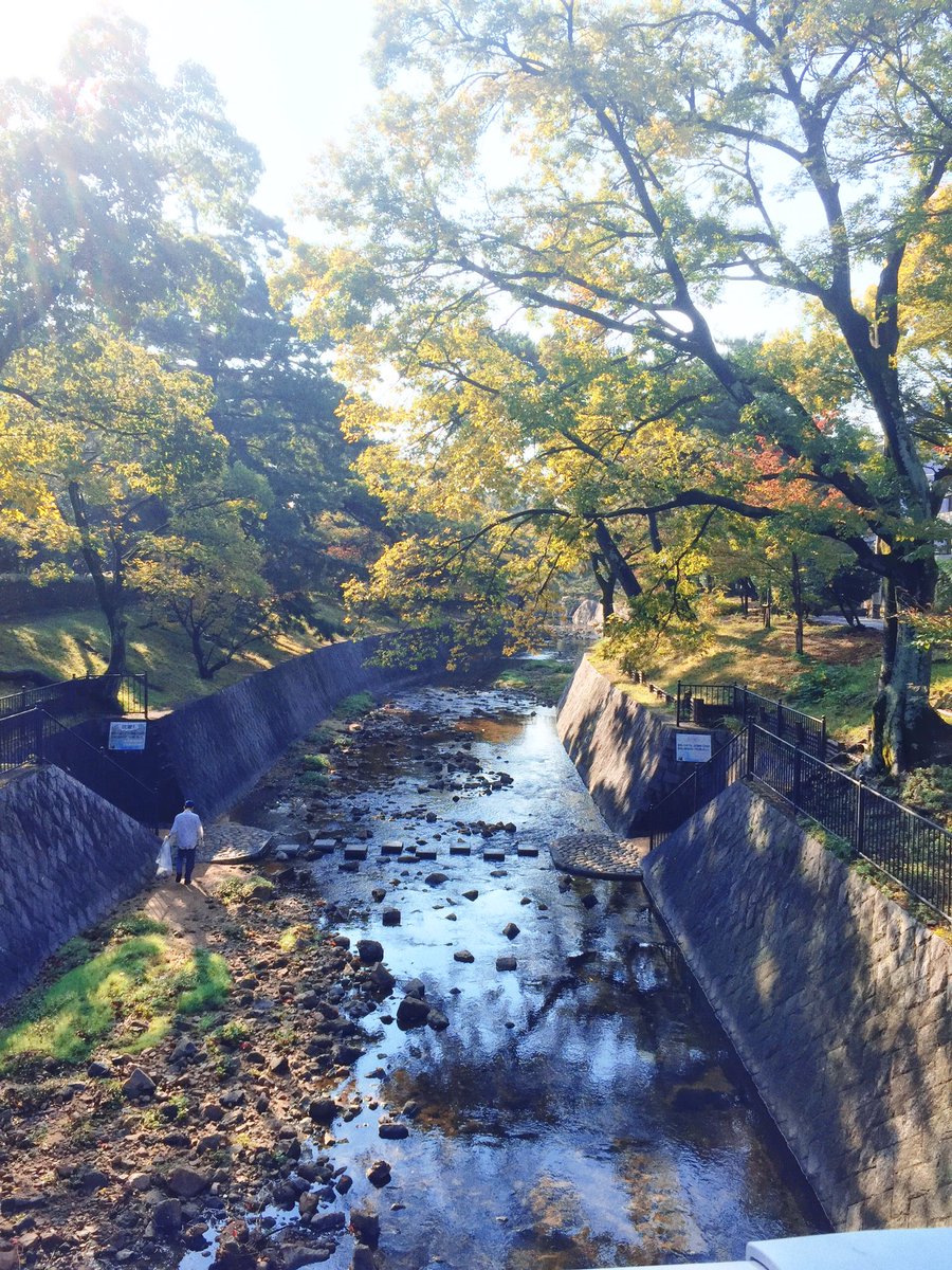 NG_cult's tweet photo. 西宮神社から少し西を流れる河川、
冷たくなってきた空気が気持ちのいい夙川の朝です。
おはようございます⛩ https://t.co/qlYkDKzBbv