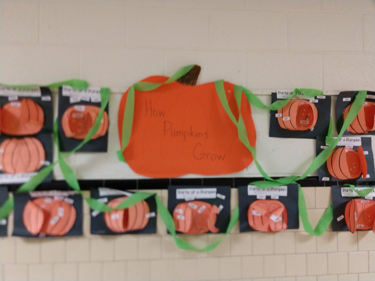 DYoung2nd's tweet photo. We made pumpkins grow in our garden. These kids are so creative and so smart! I'm so proud of this group of children. #teamcurtis https://t.co/ybUeSIeylJ