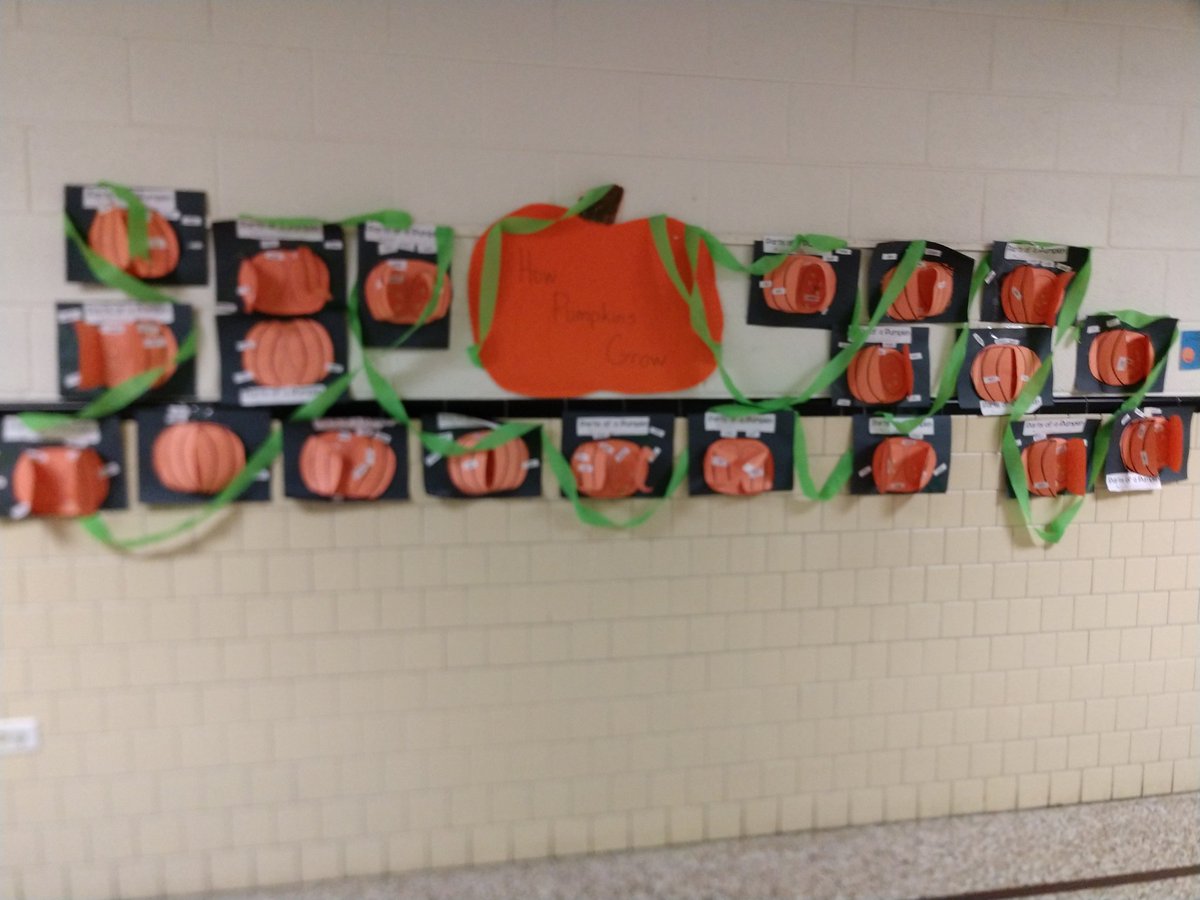 DYoung2nd's tweet photo. We made pumpkins grow in our garden. These kids are so creative and so smart! I'm so proud of this group of children. #teamcurtis https://t.co/ybUeSIeylJ