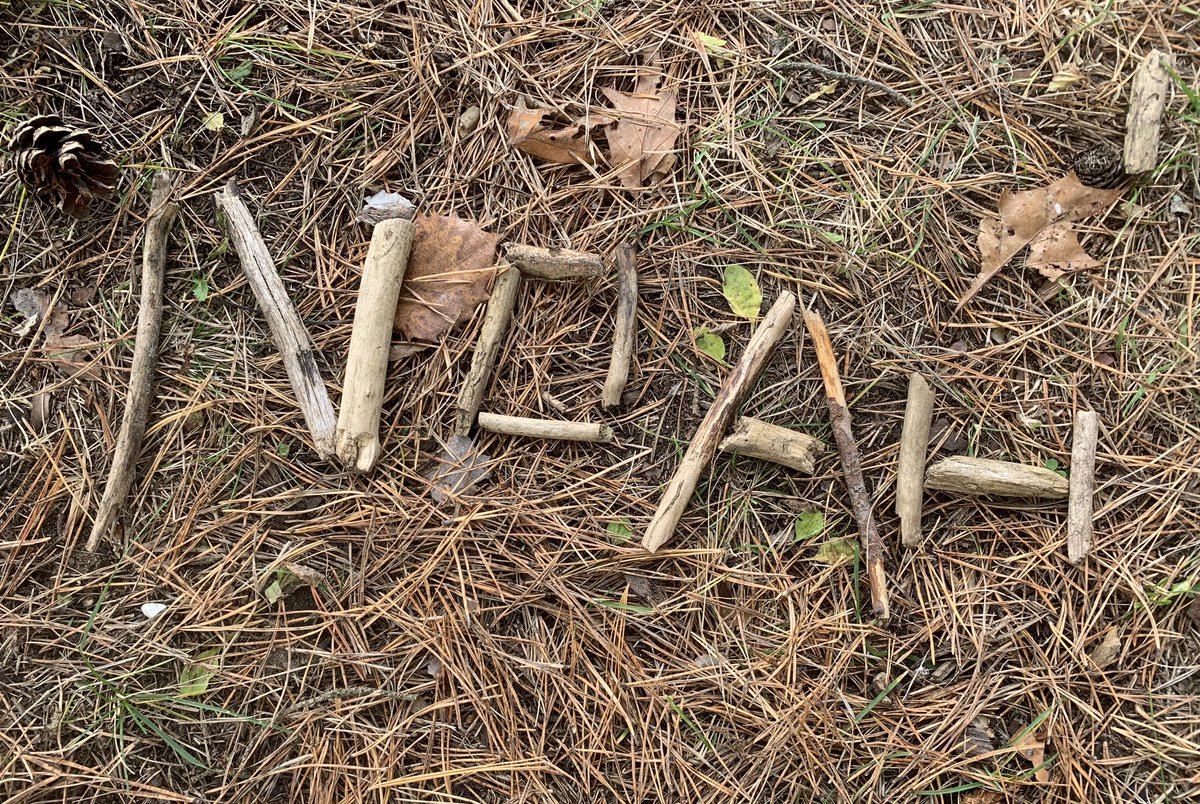 pawspvpstoread's tweet image. A beautiful day to be outside today @PortageView We shared a fantastic book by author and illustrator @juanamartinez and then celebrated our names! #GlobalReadAloud We made plans for making the story for our names.