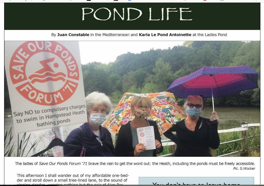 saveourponds's tweet photo. This came out last month @VillageVoice1
See pp 23, Edition 43, Autumn 2020. Photo taken at our July 26th launch demo - mixed pond leafleting pod https://t.co/6E0fojY5B5
Help us to keep #hampsteadheathponds #freefromcompulsorycharges https://t.co/2NngEI17w6