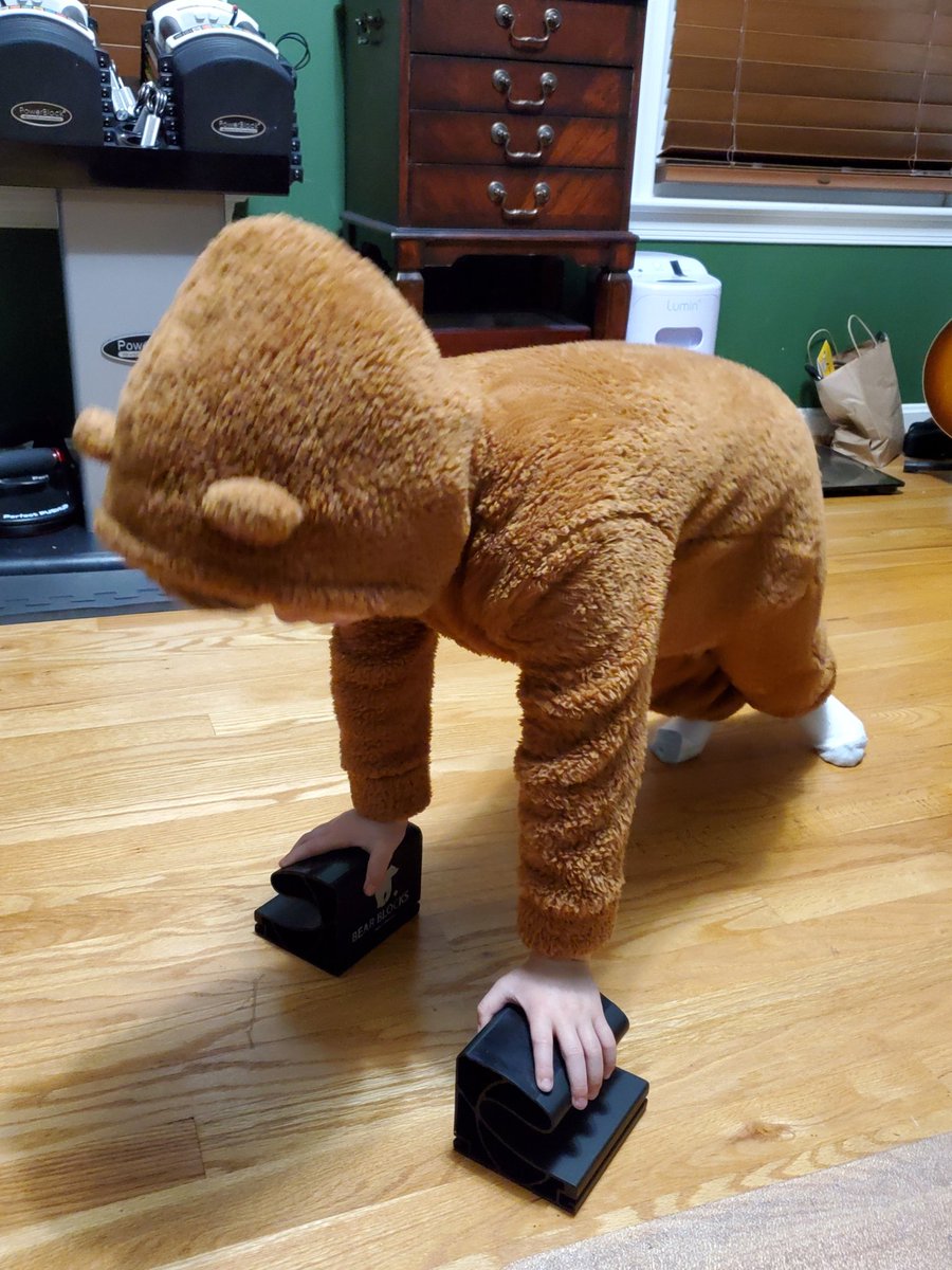 390to240 tweet media