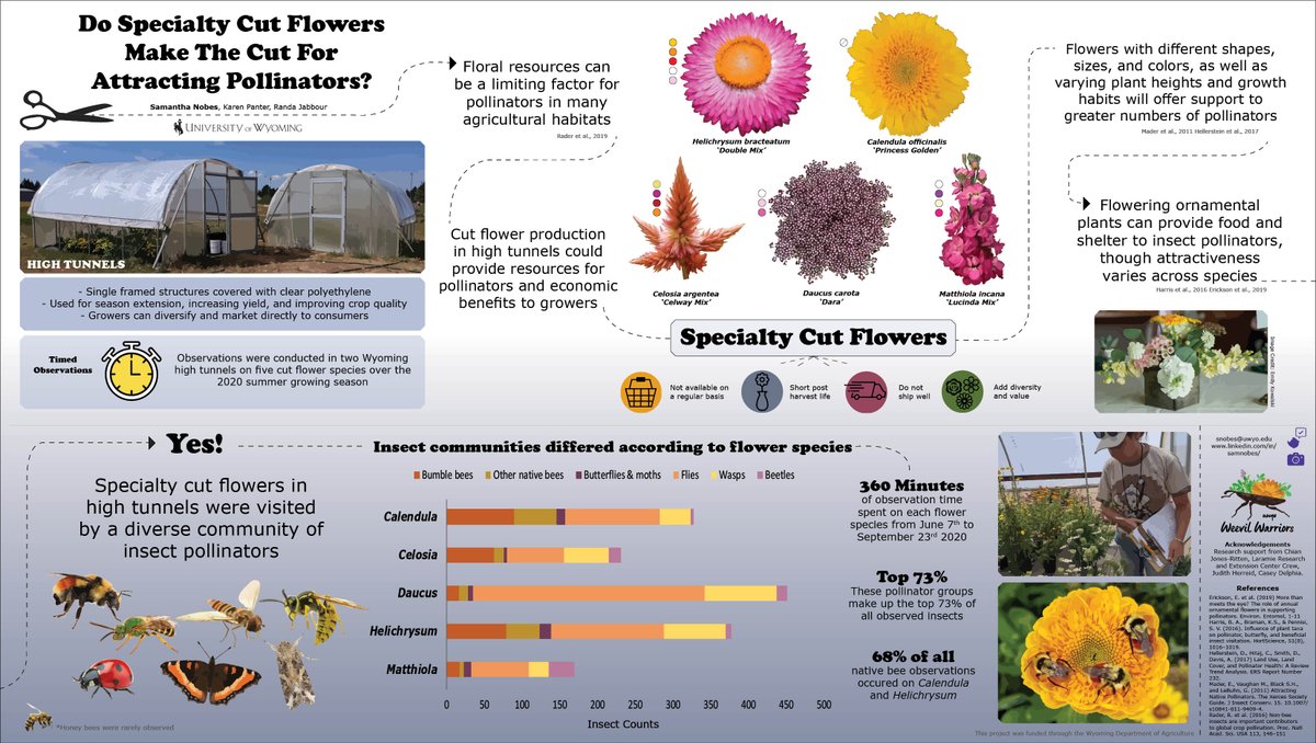 sam_nobes's tweet photo. This is my first experience attending #EntSoc20 and my first attempt at turning a research poster into an infographic! A big thank you to my wonderful co-advisors @randajab and @wyohort 💐🐝 https://t.co/MWfi1ok9bU https://t.co/mLdaGBpZWG
