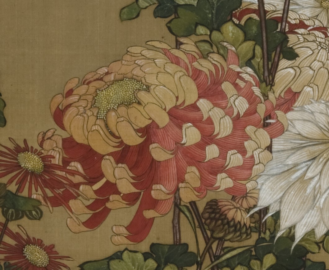 晩秋の季節、今年もご紹介します🙂 小布施発祥とされる菊、「巴錦」を