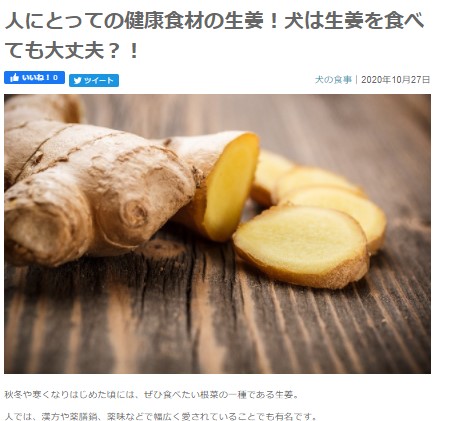 コミフ Hot Dog V Twitter だんだんと冬の寒さに近づいて わんこも家で丸くなっている家庭が多いのではないでしょうか 人にとっての健康食材と言われる 生姜はわんこも食べていいんです ホットドッグのコラムに生姜の記事を載せましたので ぜひご覧ください