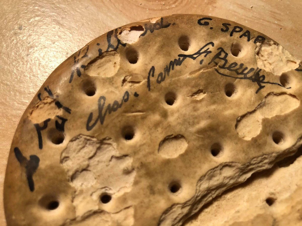 It's signed. I guess it's some of Gramps' buddies. Too bad he's not around to answer questions, or tell stories. ... but he is remembered.  #RemembranceDay2020    #Remembrance