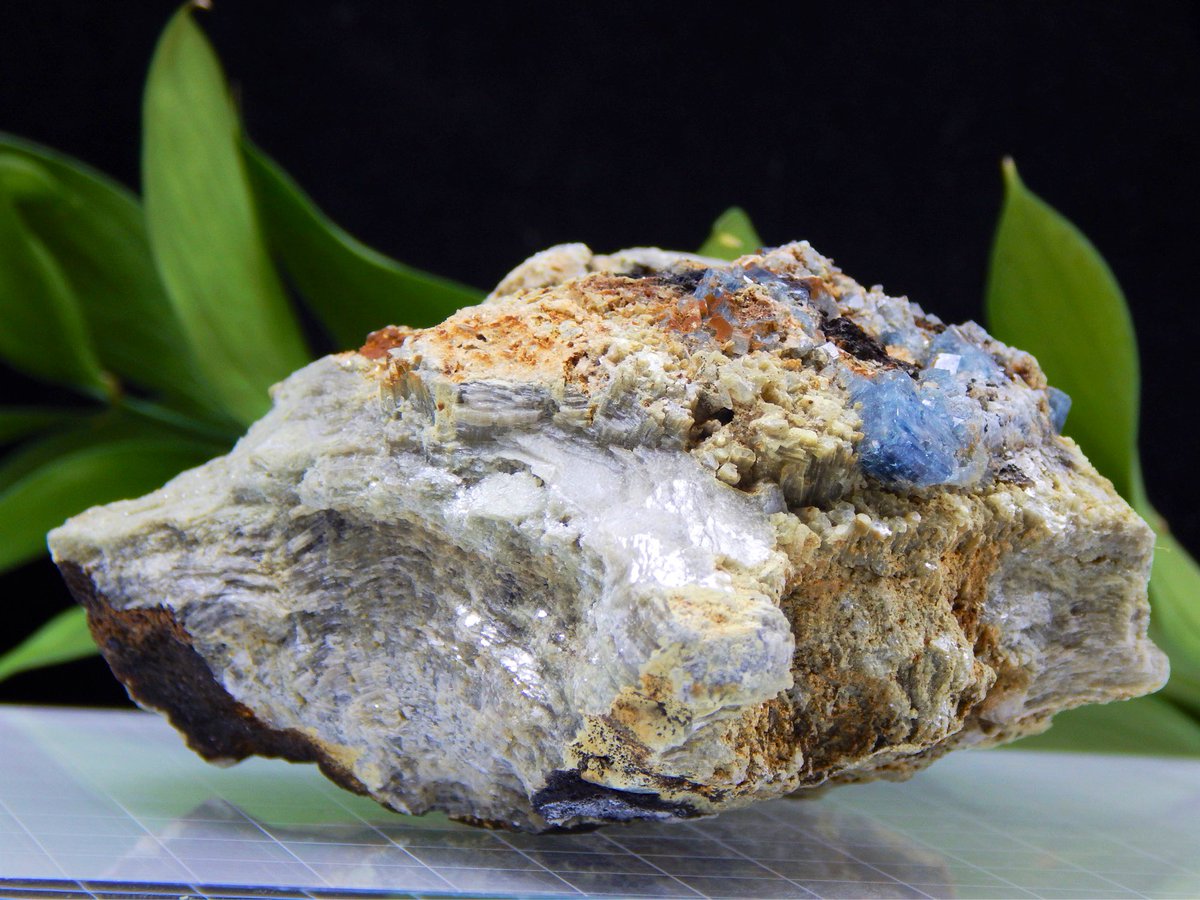 N_MaineMinerals's tweet photo. Exceptional #Fluorescent Blue #Fluorapatite #Crystals in Alt Ball #Mica Matrix w/ #Columbite, Smoky #Quartz, #Albite, and #Bertrandite from The Emmons Quarry, #Maine!
A True Connoisseurs Piece, Perfect for Collectors w/ a Refined Mineralogical Palette!
#NorthernMaineMinerals https://t.co/6jqKjXqkL2