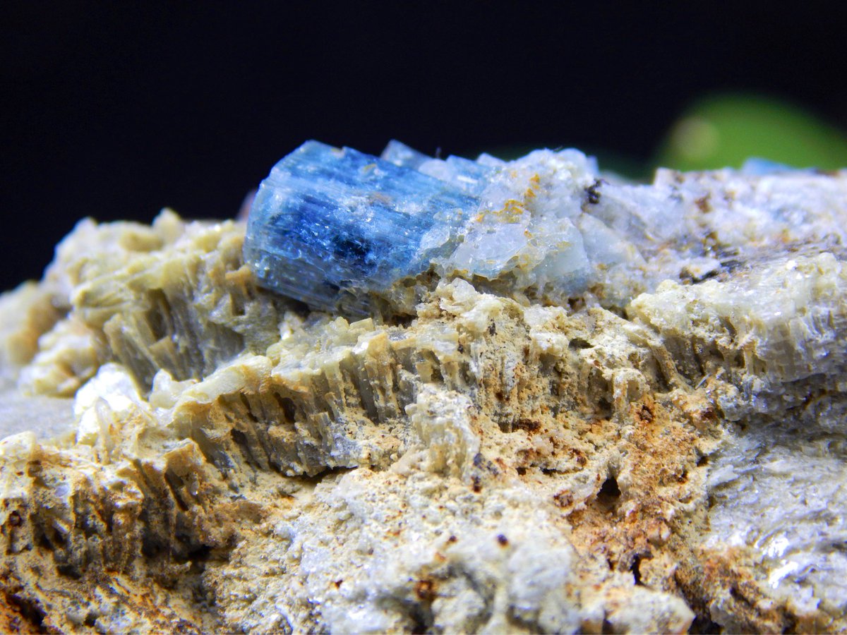 N_MaineMinerals's tweet photo. Exceptional #Fluorescent Blue #Fluorapatite #Crystals in Alt Ball #Mica Matrix w/ #Columbite, Smoky #Quartz, #Albite, and #Bertrandite from The Emmons Quarry, #Maine!
A True Connoisseurs Piece, Perfect for Collectors w/ a Refined Mineralogical Palette!
#NorthernMaineMinerals https://t.co/6jqKjXqkL2