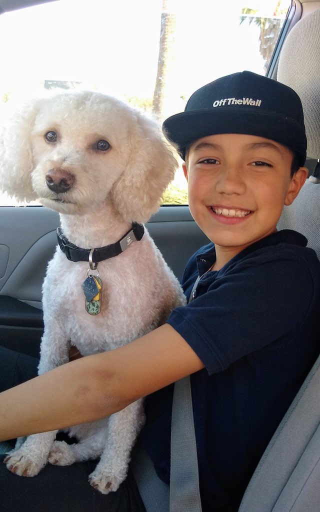 dylee151 tweet media