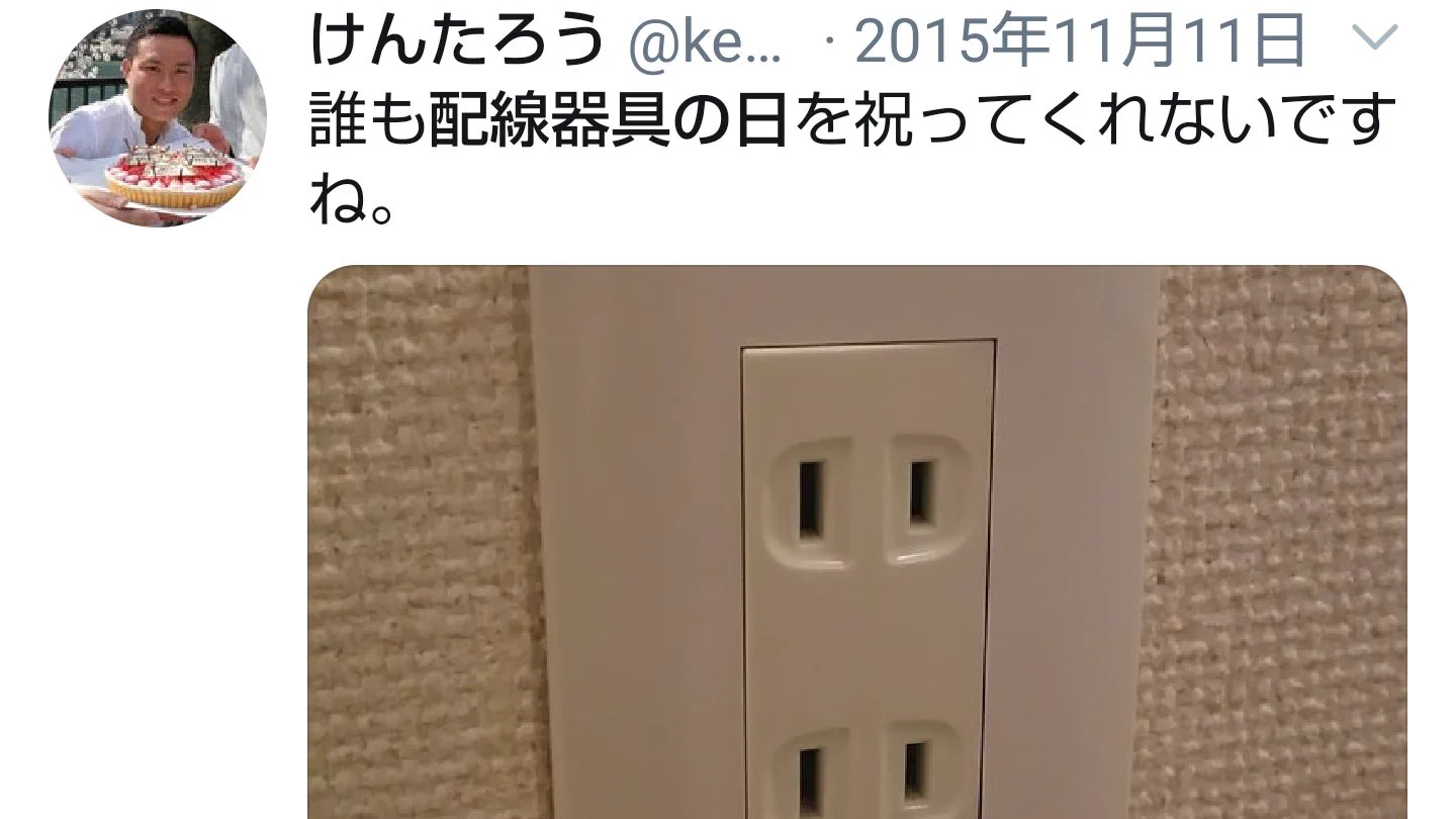 11月11日は何の記念日？毎年呟いても全然広まらない「配線器具の日」！