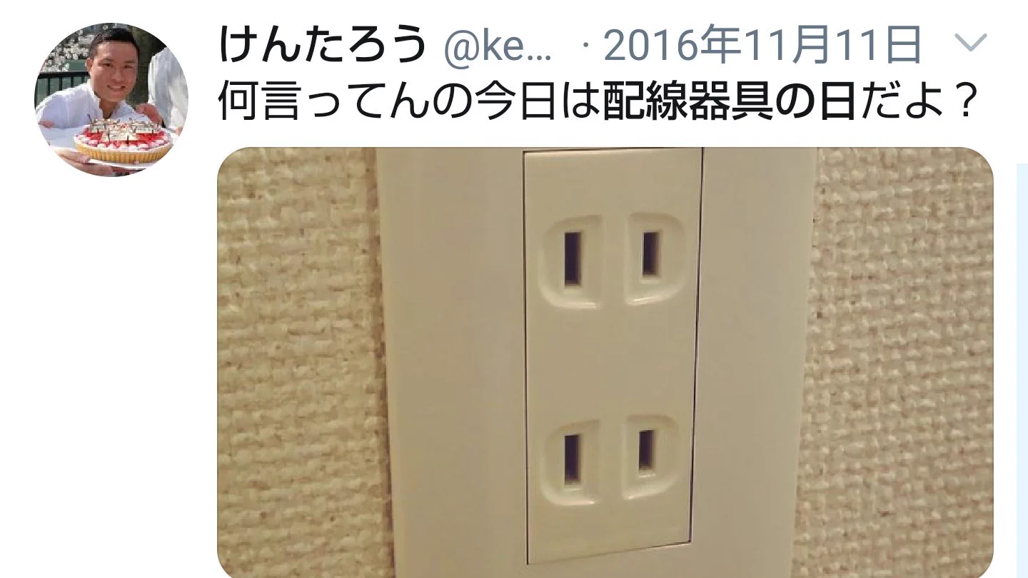 11月11日は何の記念日？毎年呟いても全然広まらない「配線器具の日」！
