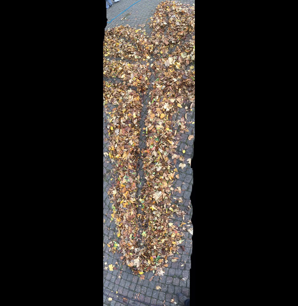 DIASENDteach's tweet image. Haden and Wrekin class created tree using the negative space! Leaves everywhere. Hats off to Wrekin for gathering an epic pile of leaves for this to happen. ⁦@DorranceJessica⁩ #forestschool